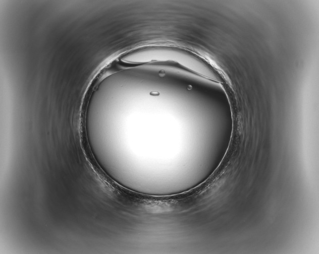 X0000086881229200704300930