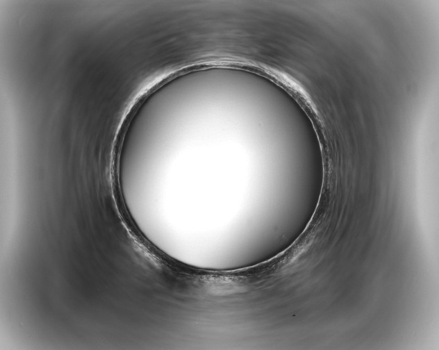 X0000086881231200704300930