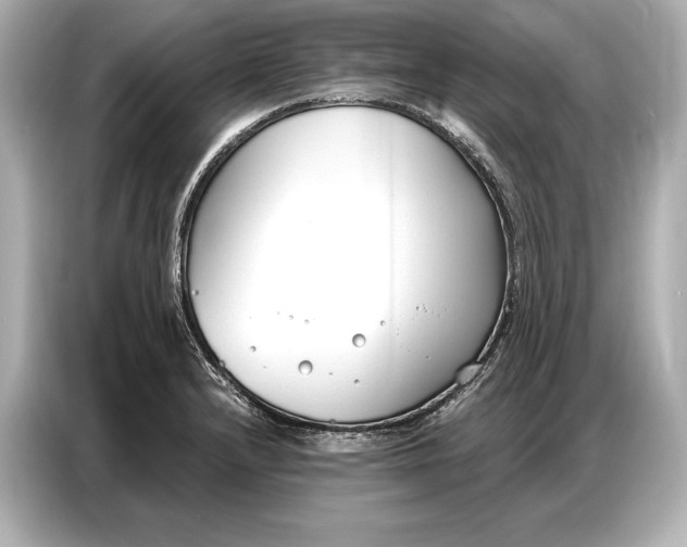 X0000086881232200704300930