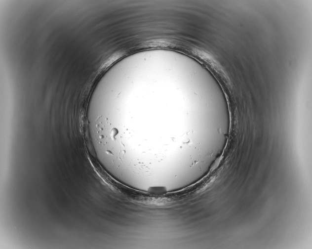 X0000086881233200704300930