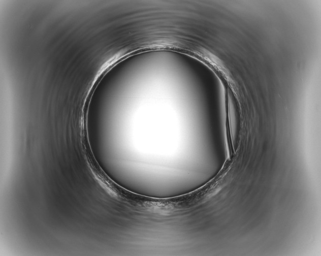 X0000086881234200704300930