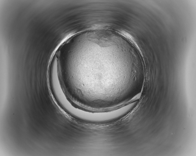 X0000086881235200704300930