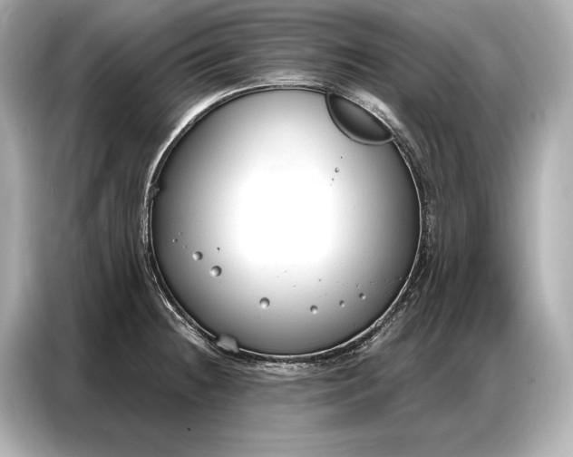 X0000086881236200704300930