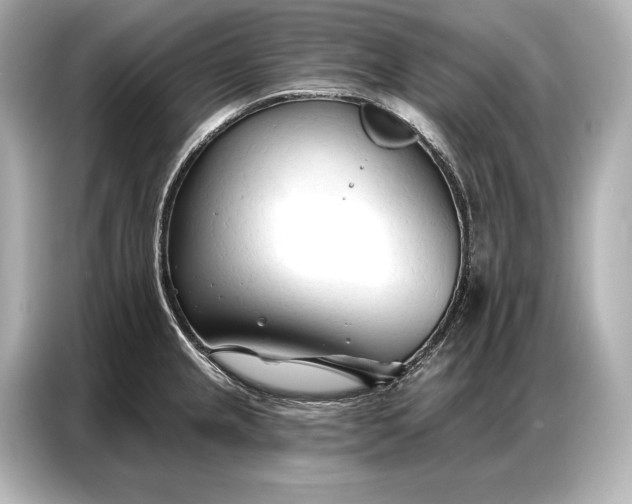 X0000086881237200704300930