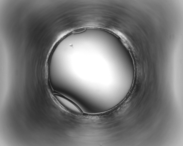 X0000086881238200704300930