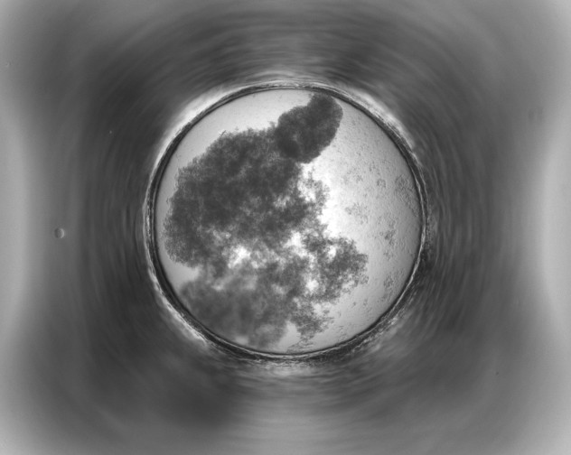 X0000086881239200704300930