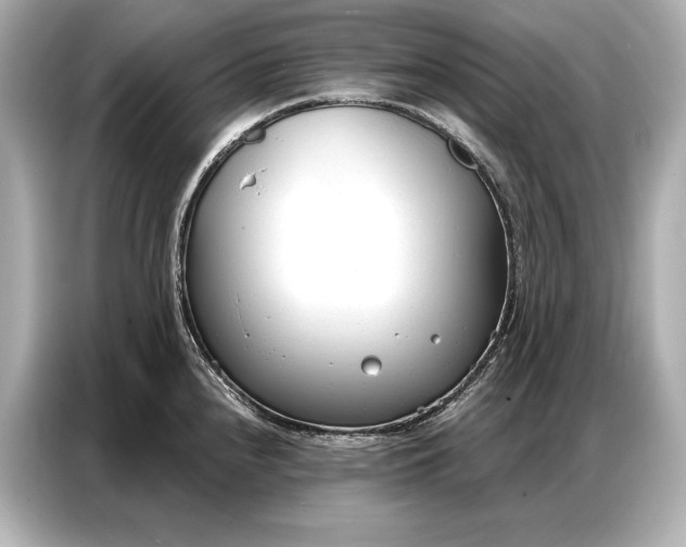 X0000086881240200704300930