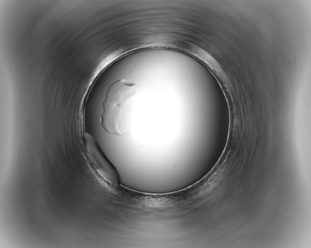 X0000086881242200704300930