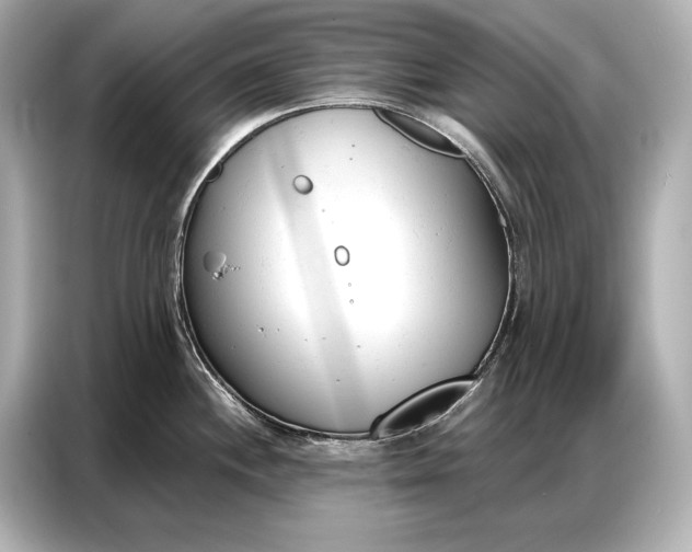 X0000086881244200704300930