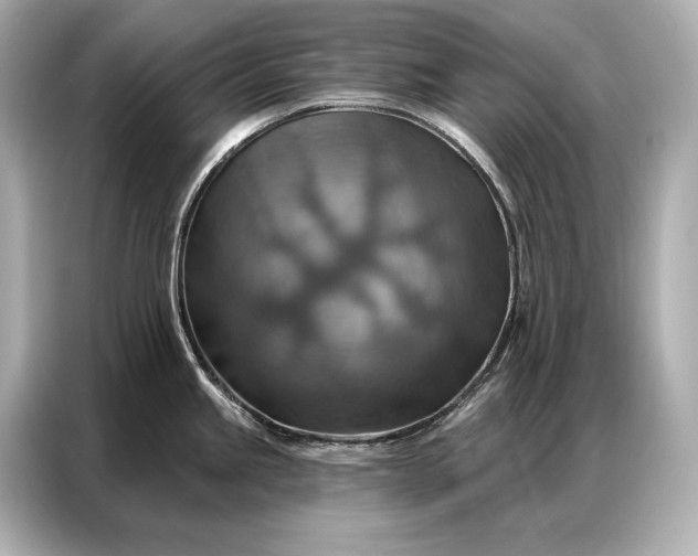 X0000086881245200704300930