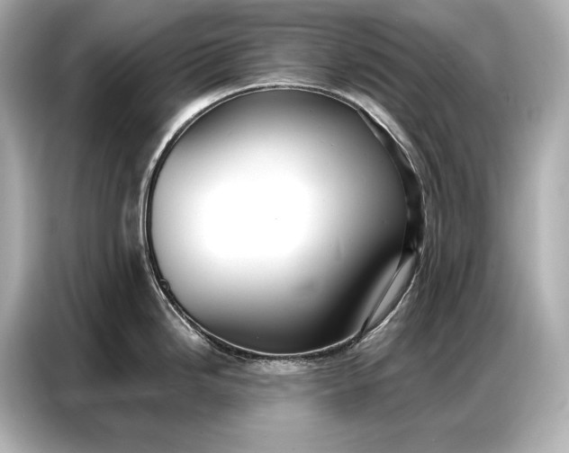 X0000086881246200704300930