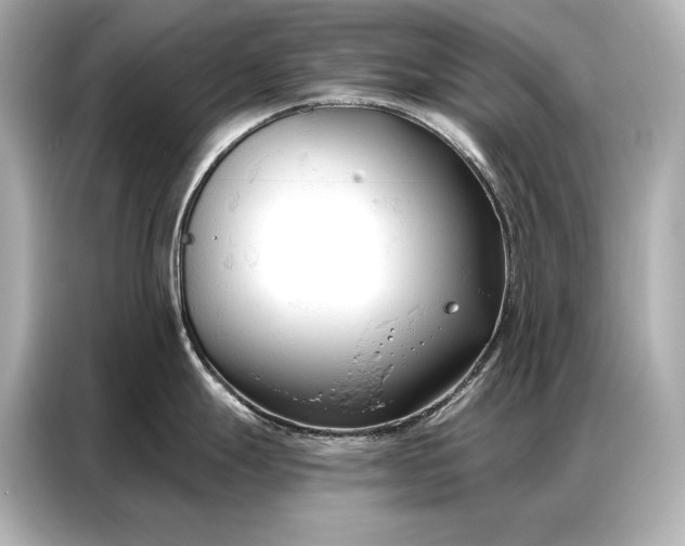 X0000086881247200704300930