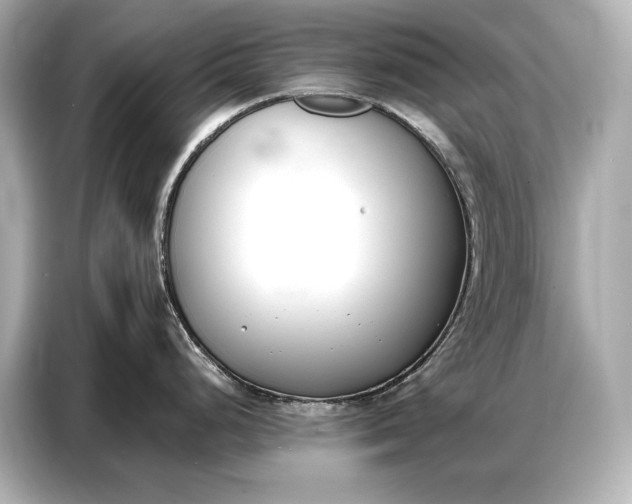 X0000086881248200704300930