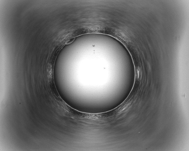 X0000086881251200704300930