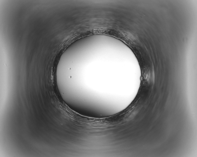 X0000086881252200704300930