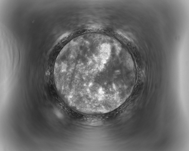 X0000086881254200704300930