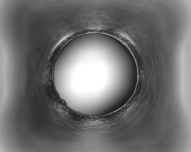 X0000086881256200704300930