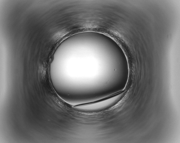 X0000086881257200704300930