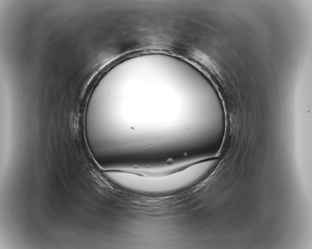 X0000086881260200704300930