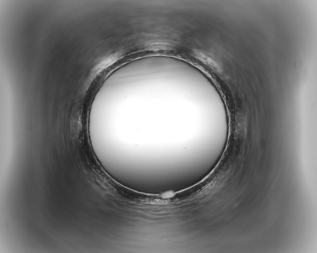 X0000086881261200704300930