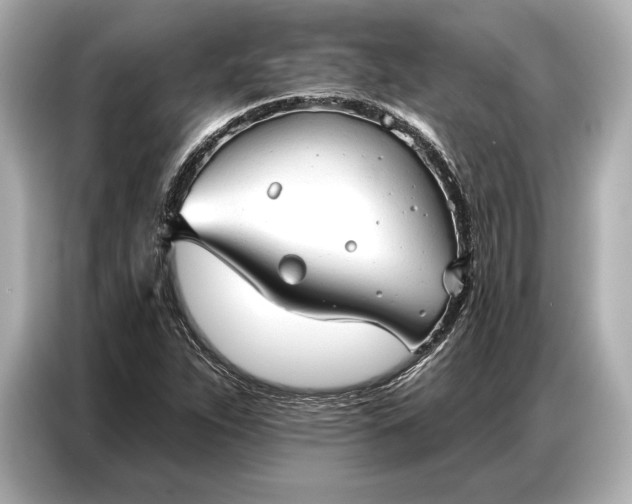 X0000086881263200704300930