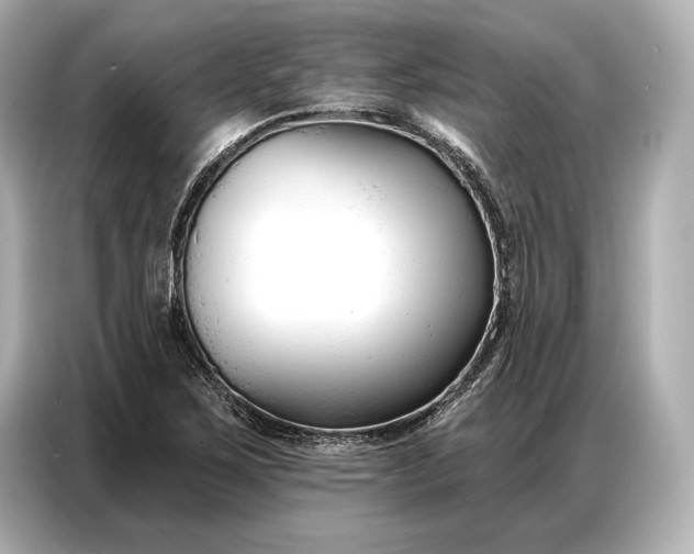 X0000086881267200704300930