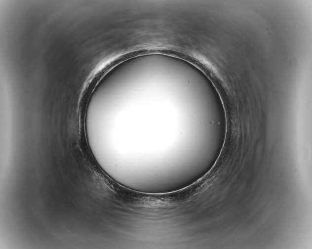 X0000086881270200704300930