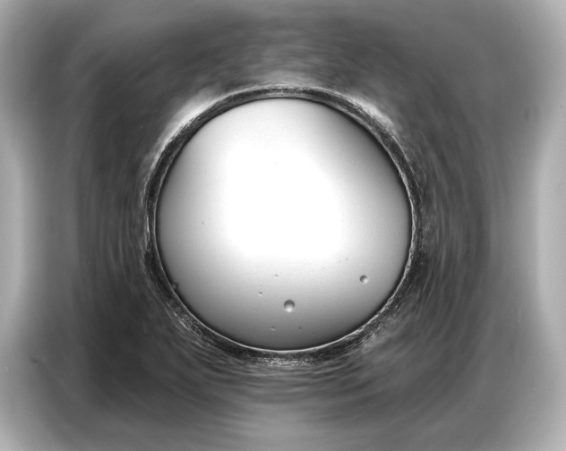 X0000086881271200704300930