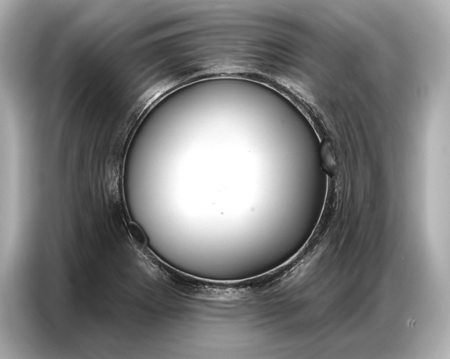 X0000086881273200704300929