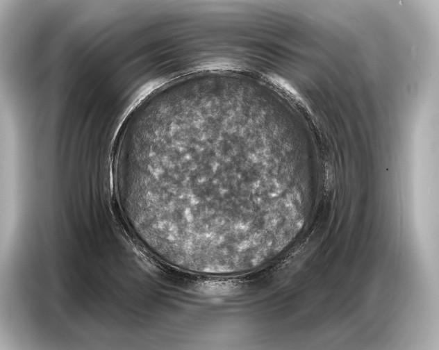 X0000086881274200704300929