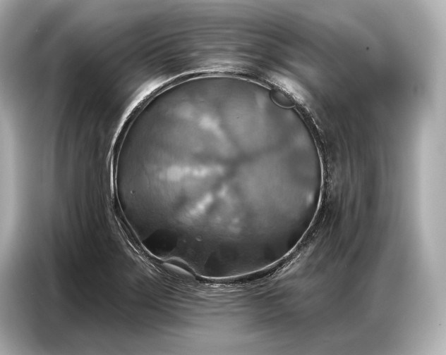 X0000086881275200704300929