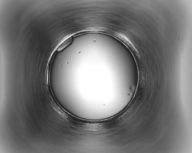 X0000086881276200704300929