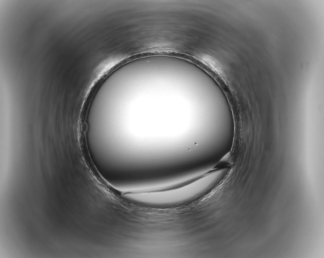 X0000086881277200704300929