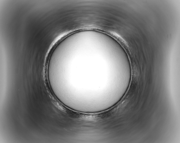 X0000086881278200704300929