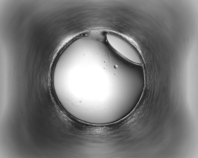 X0000086881279200704300929