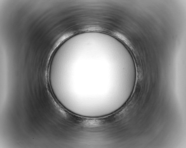 X0000086881282200704300929