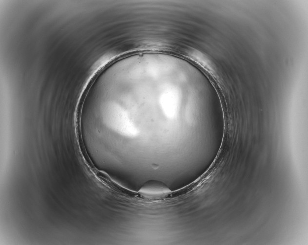 X0000086881283200704300929