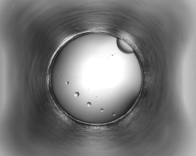 X0000086881284200704300929