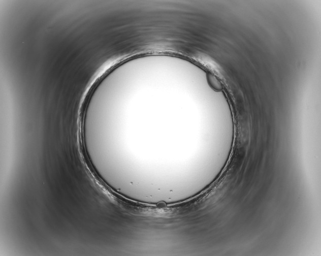 X0000086881286200704300929