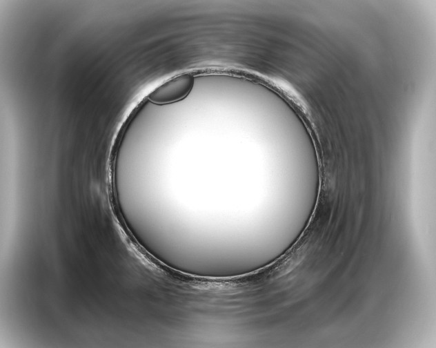 X0000086881287200704300929