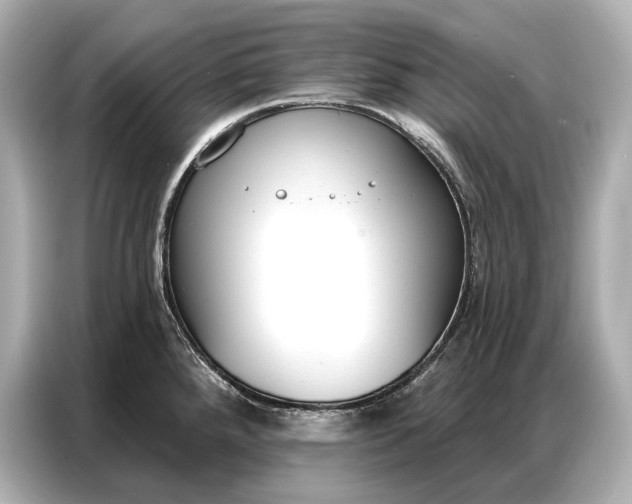 X0000086881288200704300929