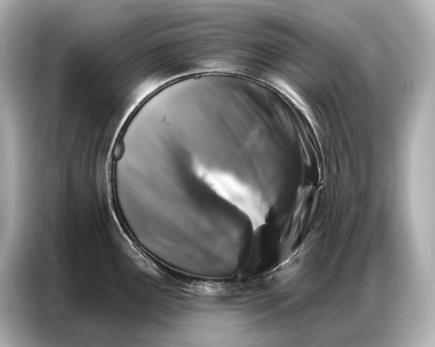 X0000086881291200704300929