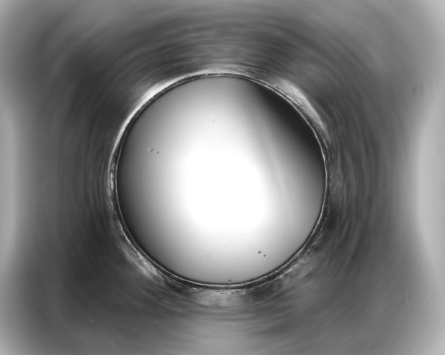 X0000086881292200704300929