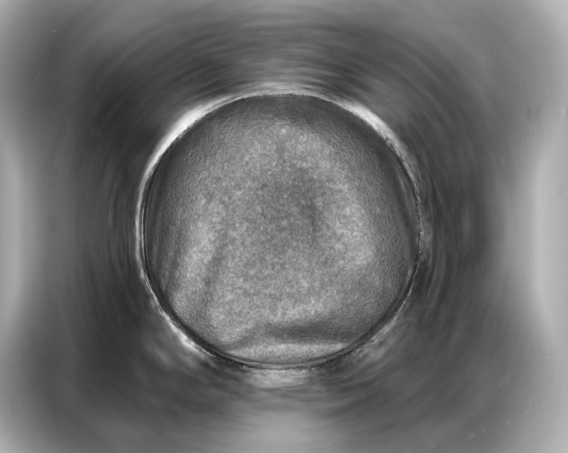 X0000086881294200704300929