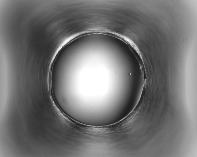 X0000086881295200704300929