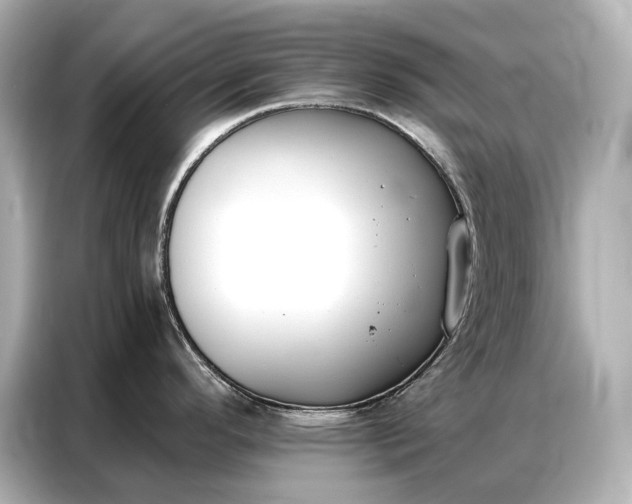 X0000086881296200704300929