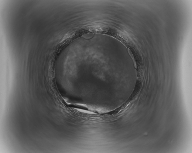 X0000086881297200704300929