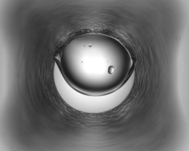 X0000086881298200704300929