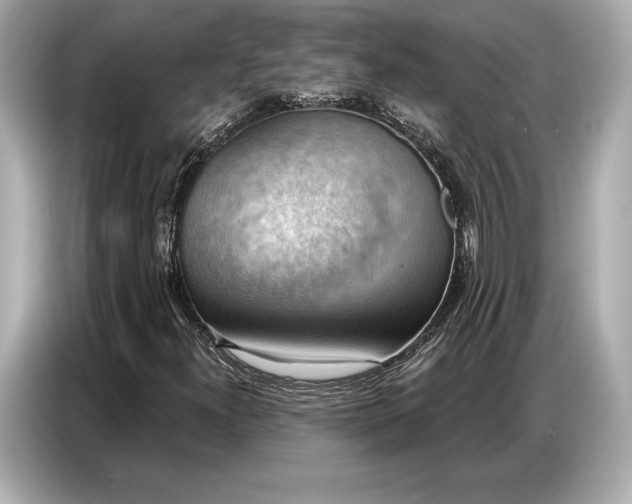 X0000086881300200704300929