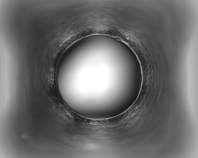 X0000086881301200704300929